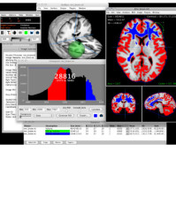 Mango Medical Image PACS Viewer for research